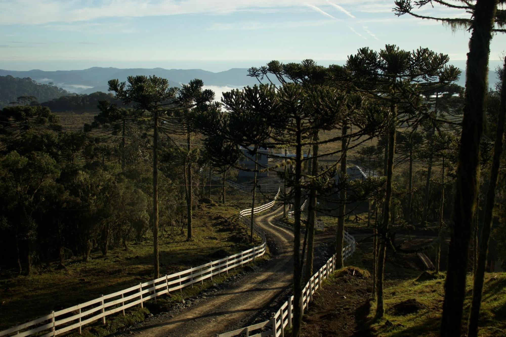 Vale Tancon Eco Village Urubici Zewnętrze zdjęcie