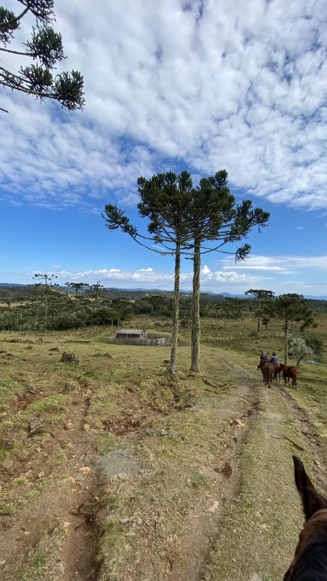 Vale Tancon Eco Village Urubici Zewnętrze zdjęcie